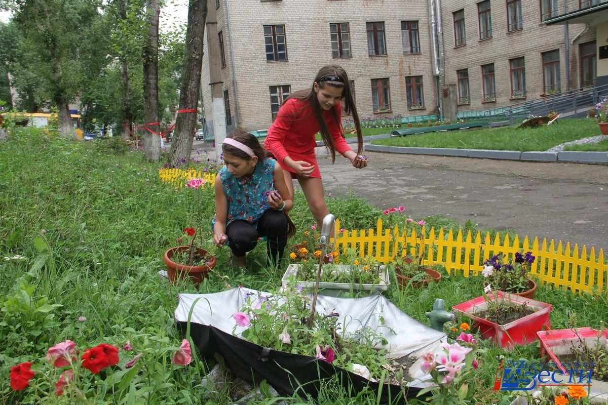 Набор в трудовые отряды начинается в Хабаровске