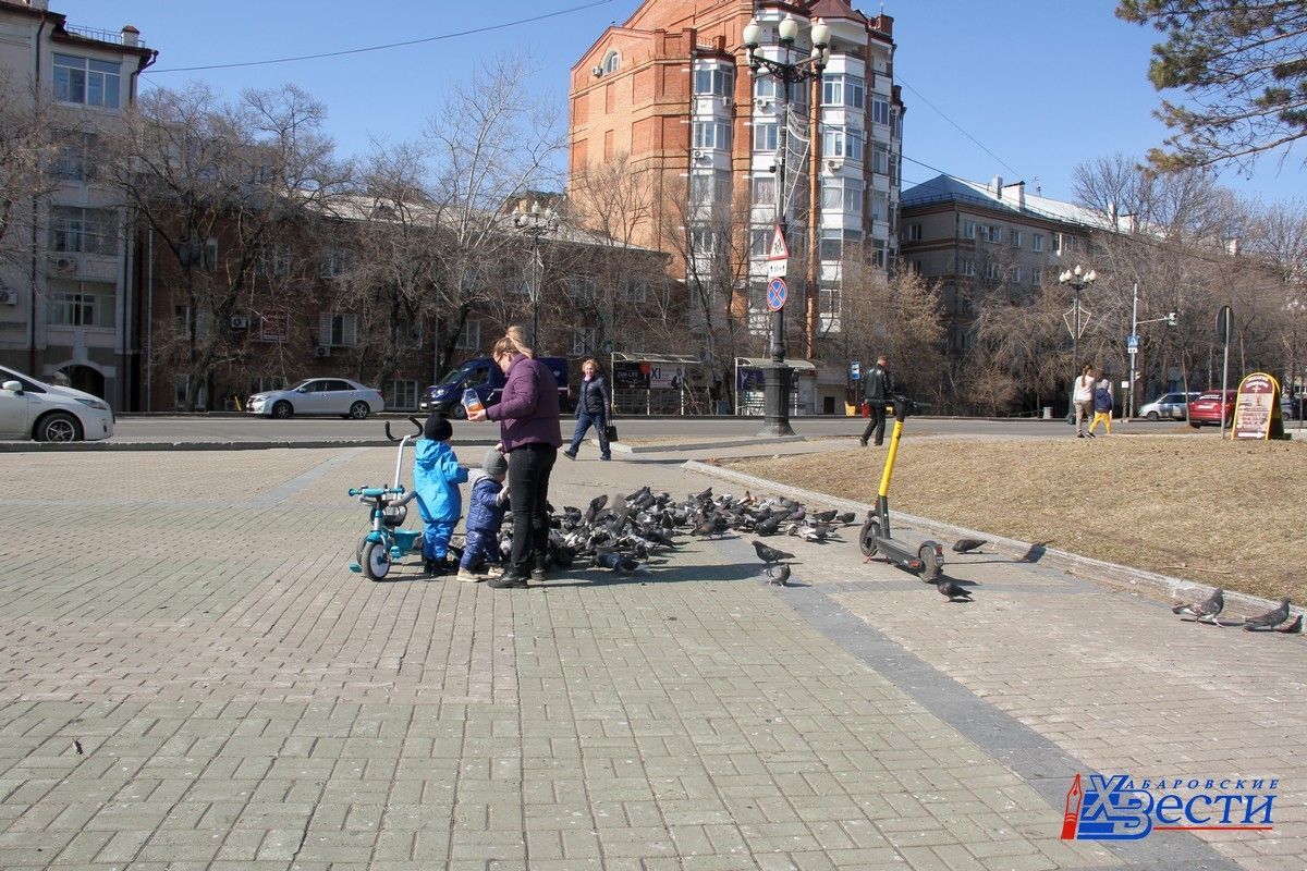 Хабаровск последние сутки. Хабаровск общество. Хабаровск край. Происшествия Хабаровск 20 апреля. Экономика Хабаровска.