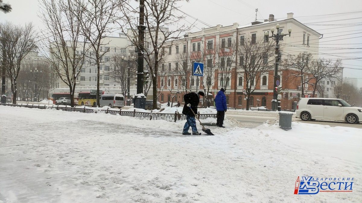 С магистралей Хабаровска вывезено 82 мешка мусора и более 580 кубометров  снега