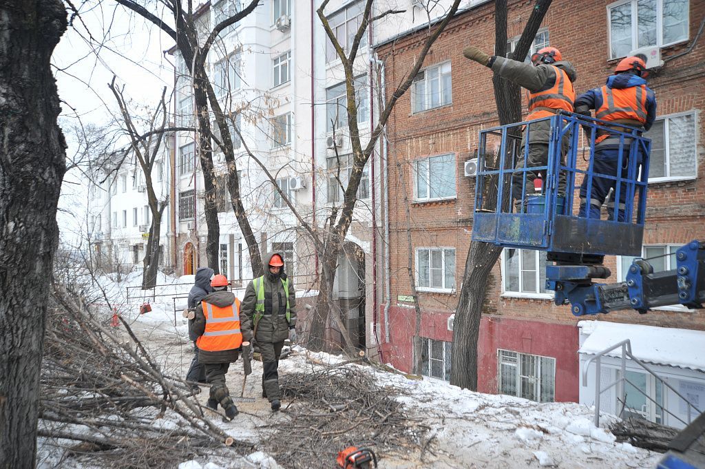 Шумят на улице. Омолаживающая обрезка тополей. Зима ул Тургенева. Улица Ленина. Холодно зимой Хабаровск фото.