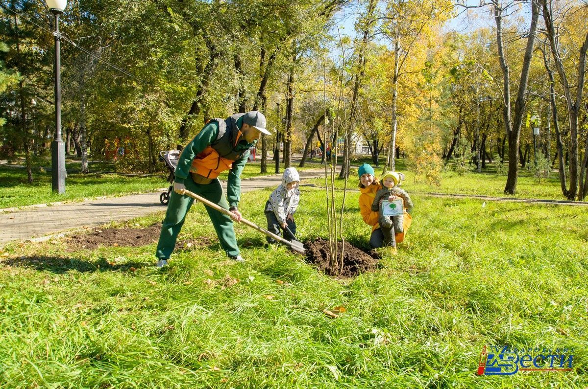 40 новых растений посадили в хабаровском парке «Динамо»