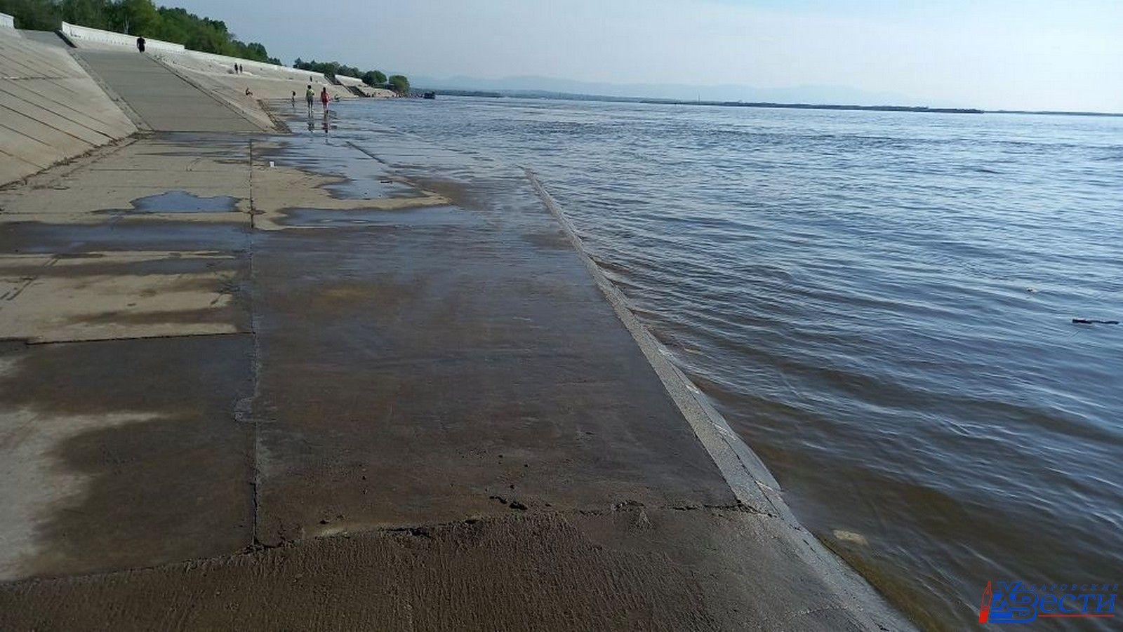 В середине июля 2019 года уровень амура. Хабаровск вода.