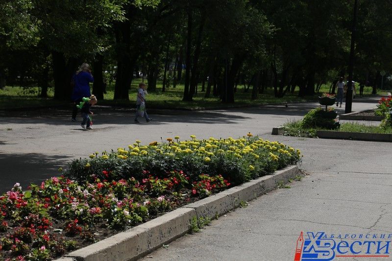 На хабаровской аллея. Аллея спортивной славы Хабаровск. Хабаровск аллея ветеранов. Амурский бульвар набережная. Хабаровск аллея центр города.