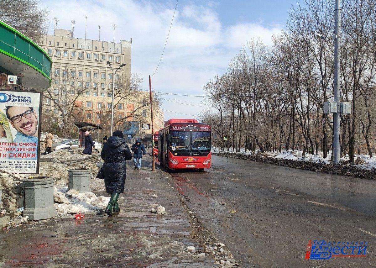 Сегодня на маршруты в Хабаровске вышло 536 единиц общественного транспорта