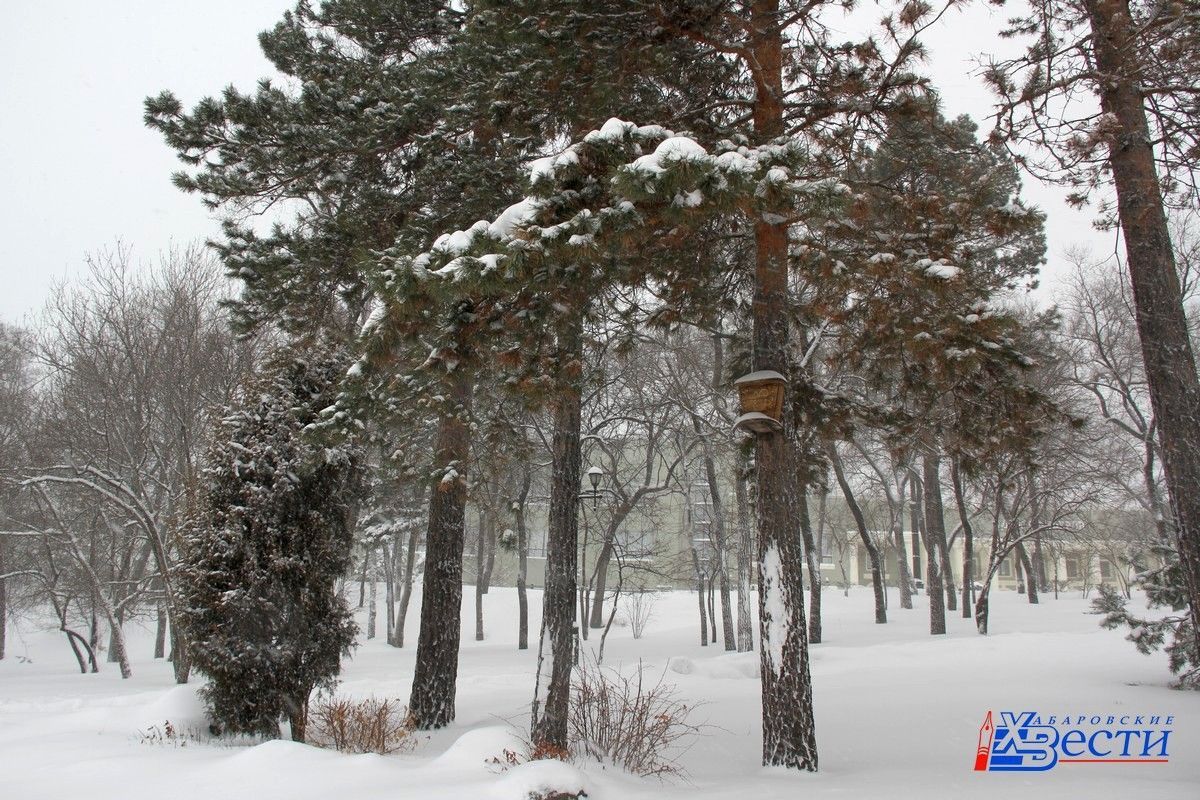 Хабаровск прогноз на день