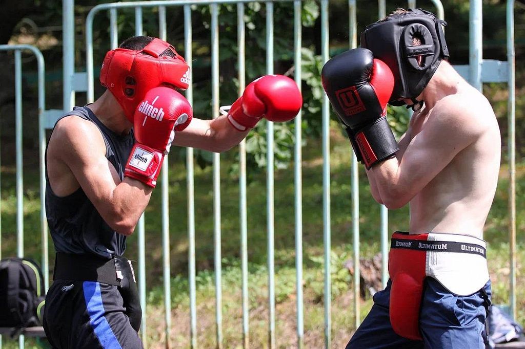 Волк боксер Чемпионат по боксу игрушка