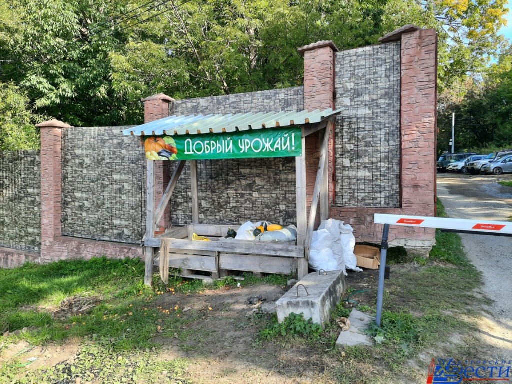 урожай-2.jpg