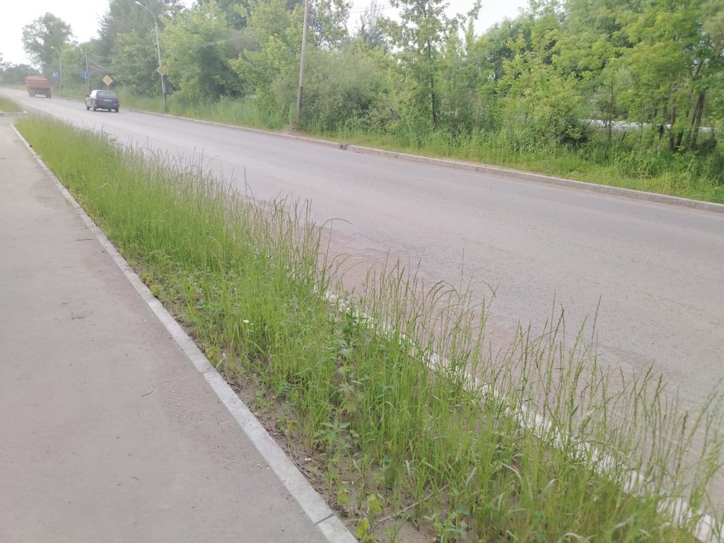 читгаз газоны.jpg