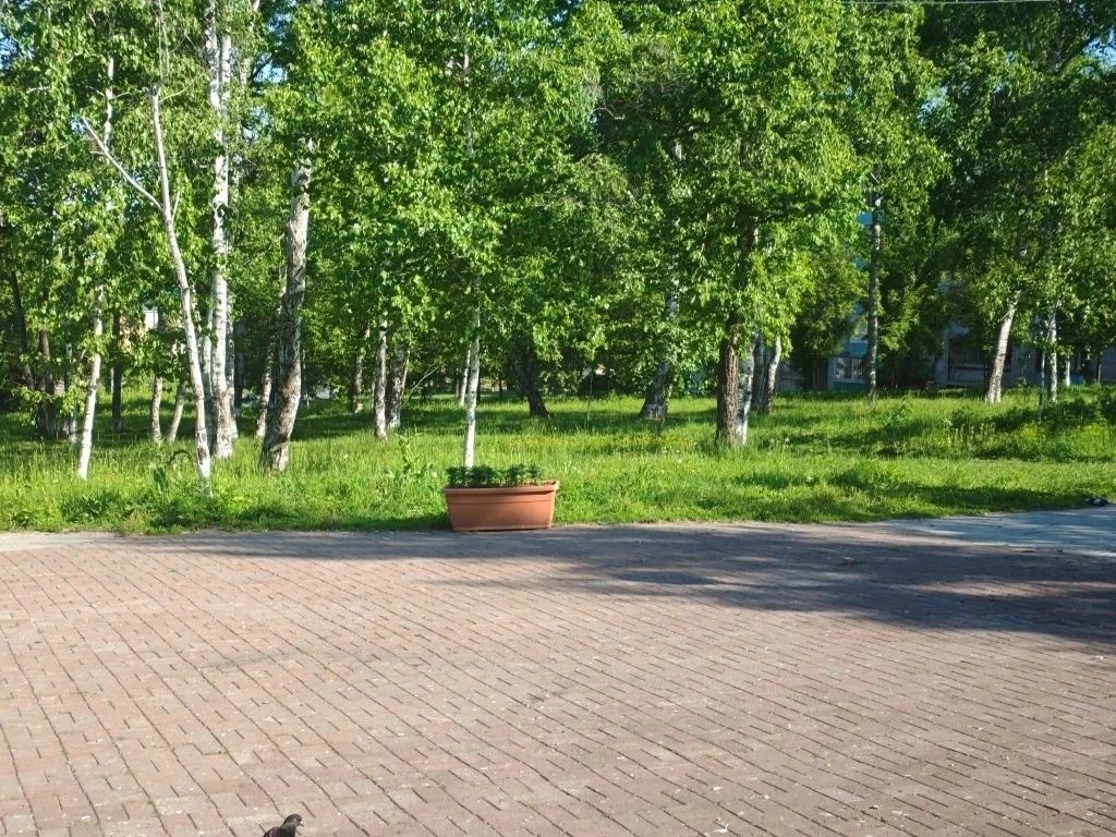 кашпо есть.jpg
