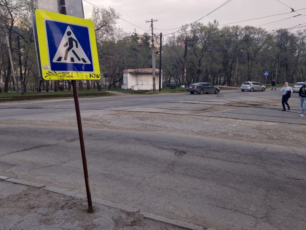 зебра.jpeg