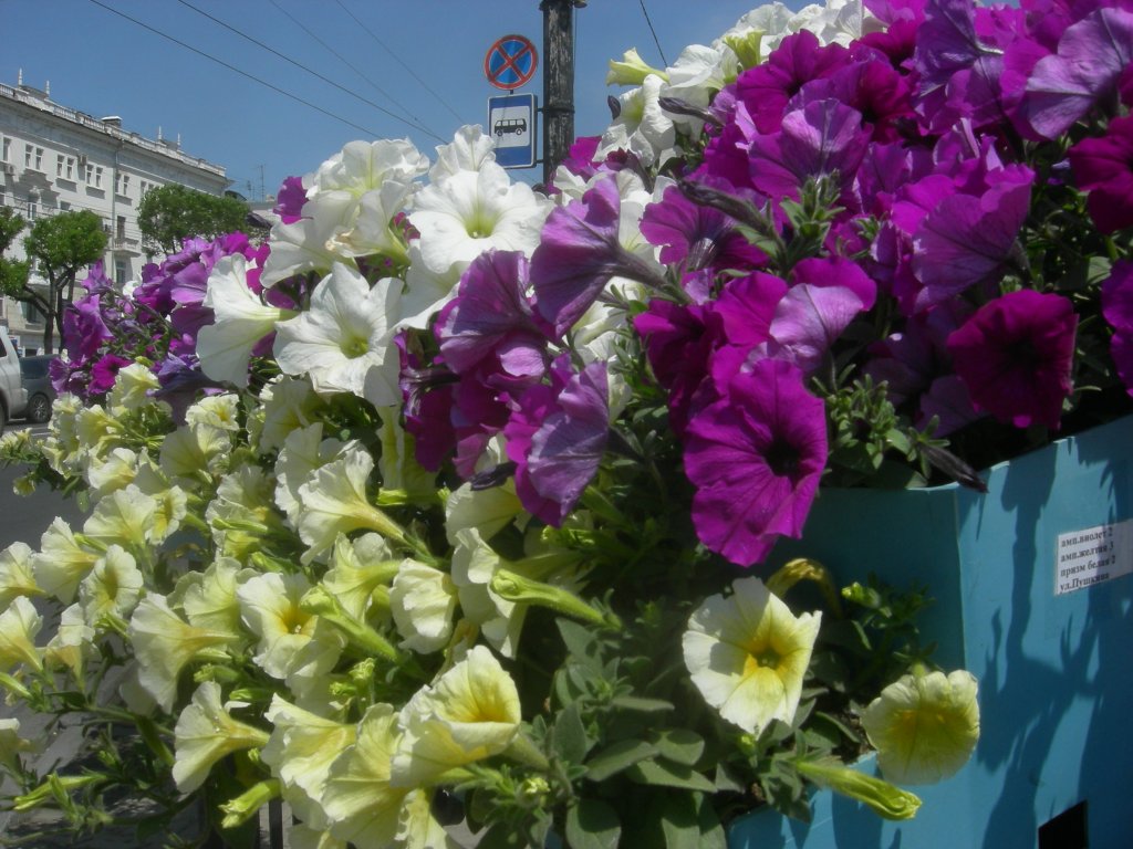 DSCN7441.JPG