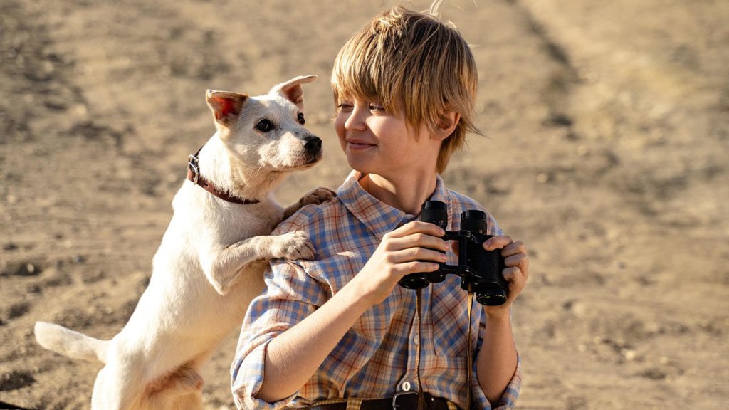 Моя собака космонавт.jpg