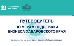 Обновлен путеводитель по мерам поддержки бизнеса Хабаровского края
