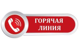 Администрация Хабаровска проведет «горячую линию» по вопросам антикоррупции