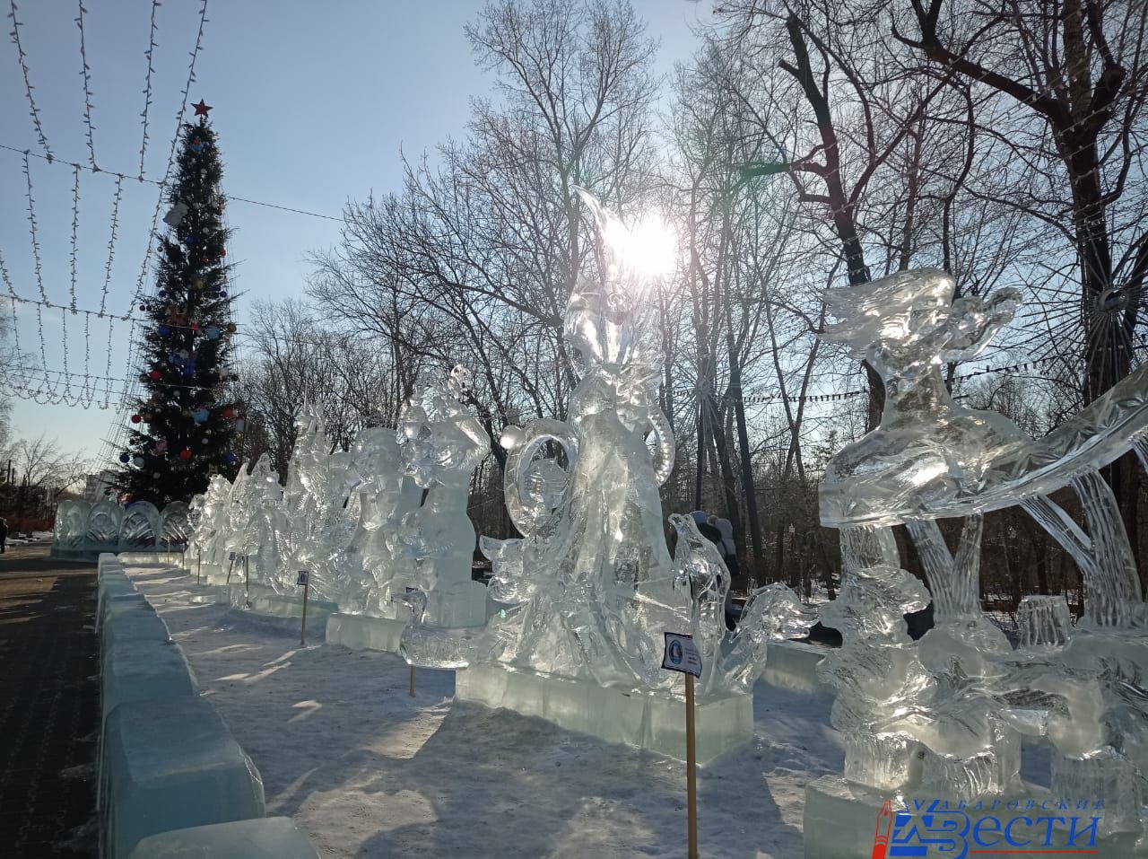 хабаровск парк динамо