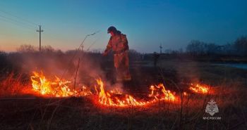 В Хабаровске спасатели потушили пал травы на острове Кабельный