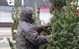 Готовность елочных базаров к открытию проверили в Хабаровске 
