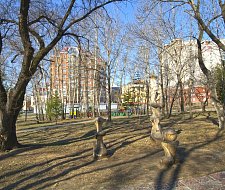 img-1