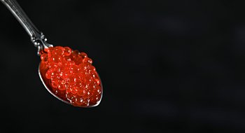 img-1
