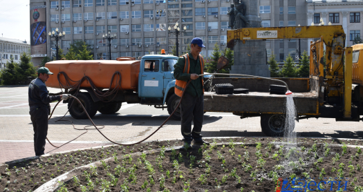К обильному поливу цветов приступили в Хабаровске с наступлением жары