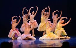 «Блестящие дивертисменты» проходят в Хабаровске