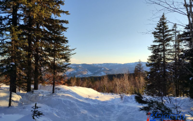 Хабаровчанам предлагают проверить свои знания географии