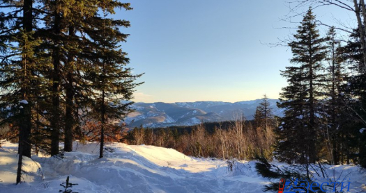 Хабаровчанам предлагают проверить свои знания географии
