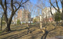 428 единиц транспорта вышли на маршруты Хабаровска сегодня