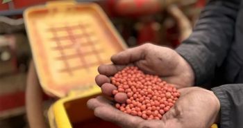 В крае стартовал новый проект по господдержке селекции сельхозкультур