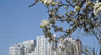 img-1