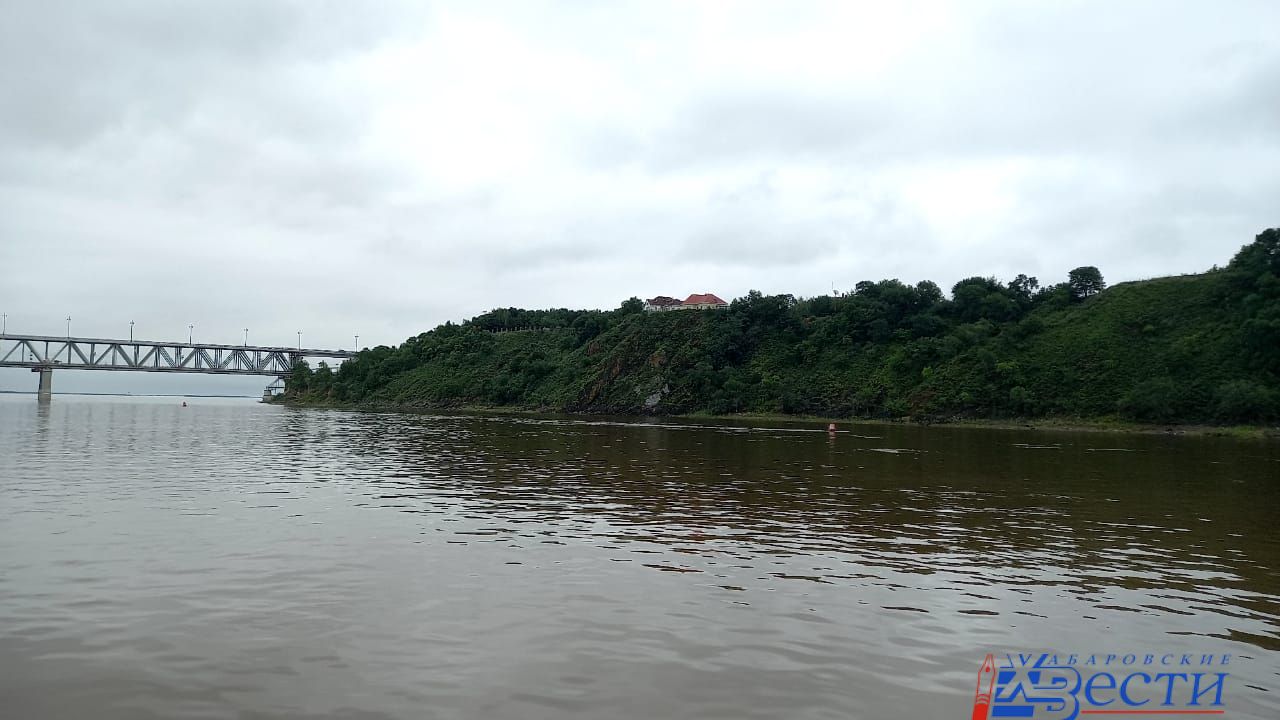 Неблагоприятные явления на реке амур. Алексеевский мост через реку Самара. Река Алексеевка Самарас. Река Самара в Алексеевки. Речьки или речки.