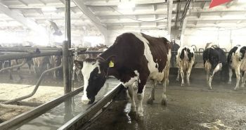 Сельхозпредприятие в Хабаровском крае приобрело технику