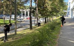 В Хабаровске подвели итоги месячника по санитарной уборке и благоустройству