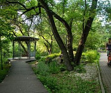 img-1