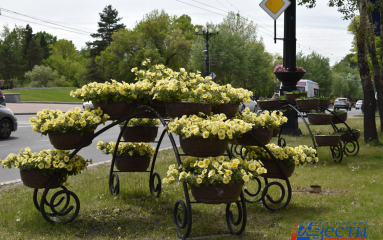 Площади и некоторые улицы Хабаровска украсят цветами к 9 Мая