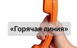 «Горячая линия» управления ветеринарии Хабаровского края