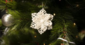 Поучаствовать в украшении елки на стадионе им. Ленина приглашают хабаровчан