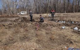 Склон около верхнего пруда превращается в мини-дендросквер