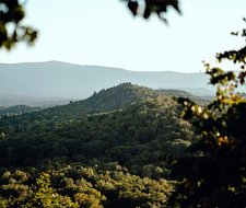 img-1
