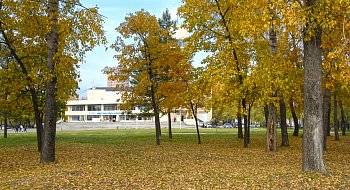img-1