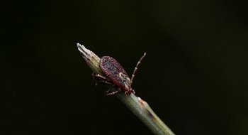 img-1