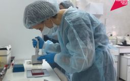 В Хабаровском крае значительно снижается заболевания гепатитом