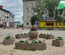 img-1