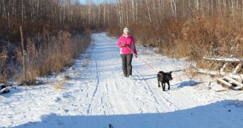 Моменты собачьего счастья