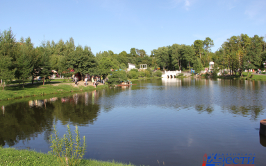 Погибших рыб и черепаху обнаружили на берегу пруда в парке Северном