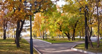 464 единицы транспорта вышли на маршруты Хабаровска сегодня