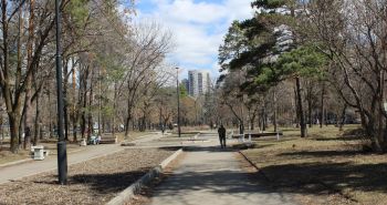  Первый этап реконструкции хабаровских бульваров стартует уже в мае