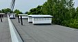 img-1