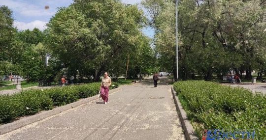 img-1