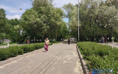 Комфортная погода установится в Хабаровске лишь со второй декады июня